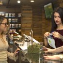 Why is Opening a Cannabis Dispensary Right Now Helpful?