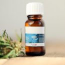 budpop.com