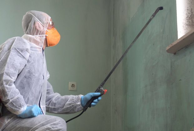 mold remediation in Fishers, IN
