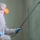 mold remediation in Fishers, IN