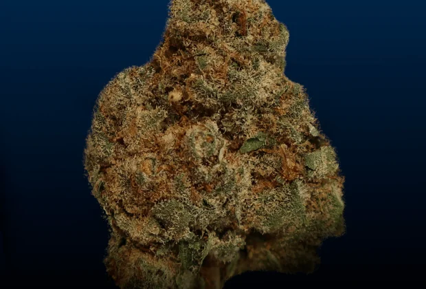 thca products for sale